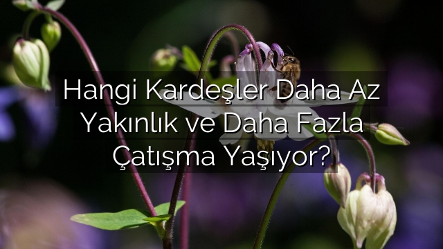 Hangi Kardeşler Daha Az Yakınlık ve Daha Fazla Çatışma Yaşıyor? Hangi Kardeşler Daha Az Yakınlık ve Daha Fazla Çatışma Yaşıyor?