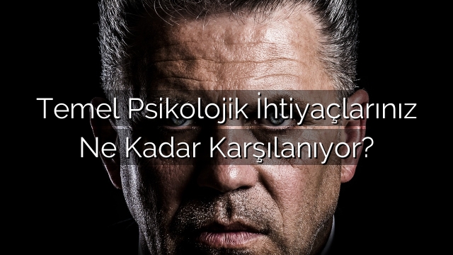 Temel Psikolojik İhtiyaçlarınız Ne Kadar Karşılanıyor? Temel Psikolojik İhtiyaçlarınız Ne Kadar Karşılanıyor?